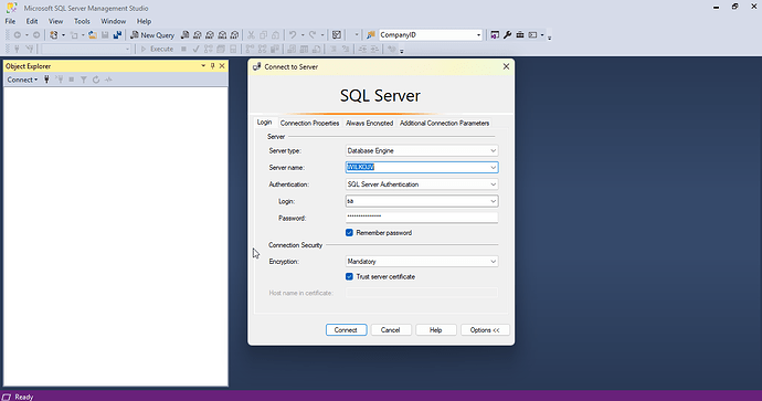 Microsoft SQL Server Management Studio
