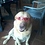 Brett_Westphal