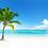 CaribbeanViking