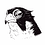 falcon4